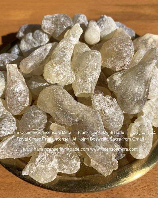 Royal Green Boswellia Sacra Frankincense in raw resins from Sultanate of Oman for sale by Frankincense Myrrh Trade company