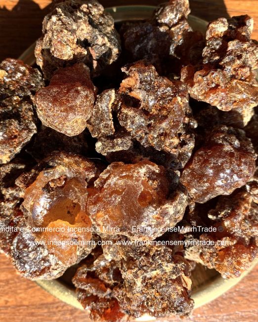 Olibanum (Incense) Frankincense Essential Oil Boswellia Sacra Oman and  Glass Diffuser. – FrankincenseMyrrhTrade