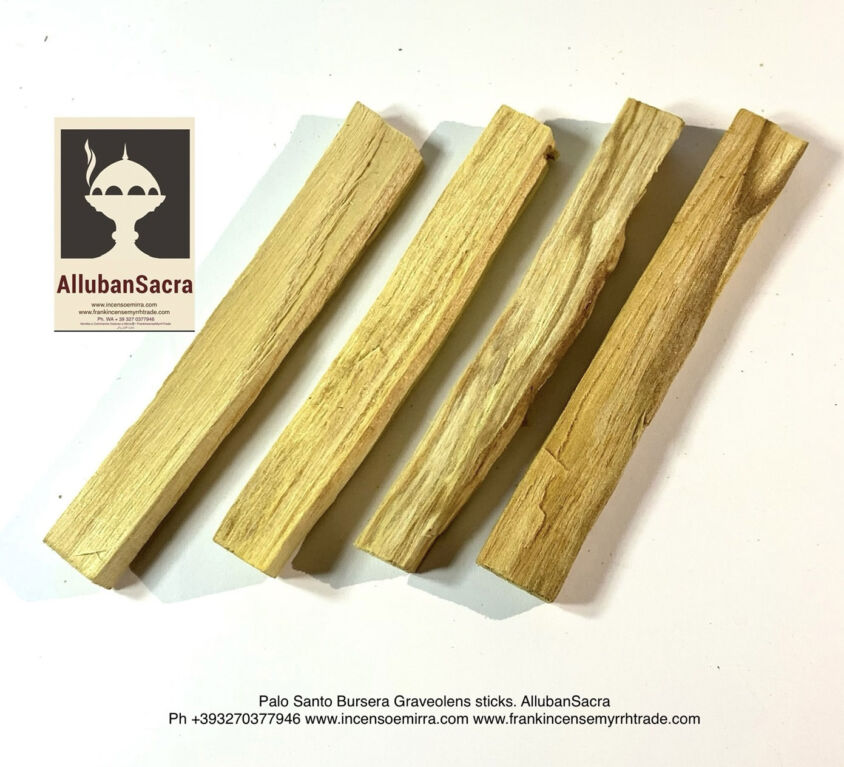 Palo Santo Sticks Bursera Graveolens packed. AllubanSacra.