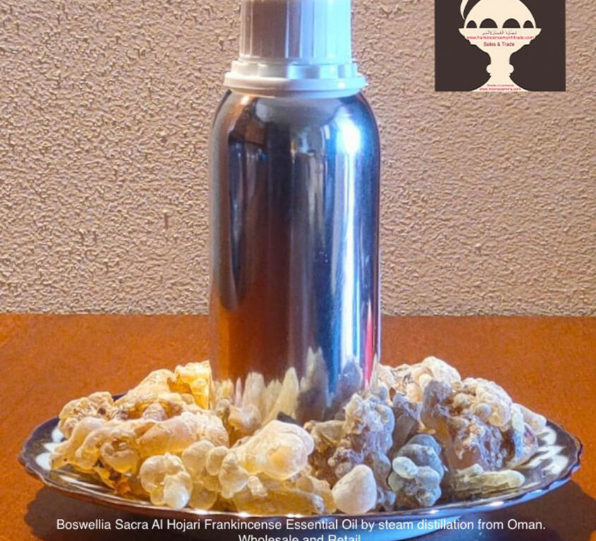 Frankincense Water Boswellia Sacra Oman, Incense Water Boswellia Sacred Alhojari