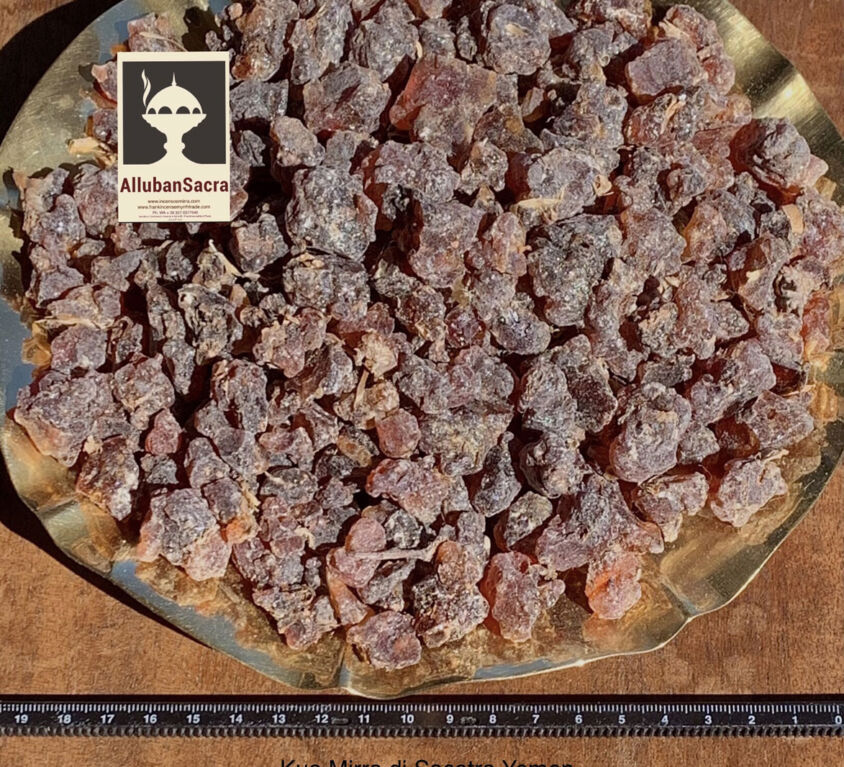 KUA MYRRH FROM SOCOTRA YEMEN OF SELECTED PURE RESIN TEARS COMMIPHORA KUA. ALLUBANSACRA