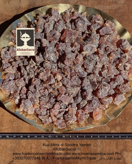 KUA MYRRH FROM SOCOTRA YEMEN OF SELECTED PURE RESIN GRAINS COMMIPHORA KUA. ALLUBANSACRA